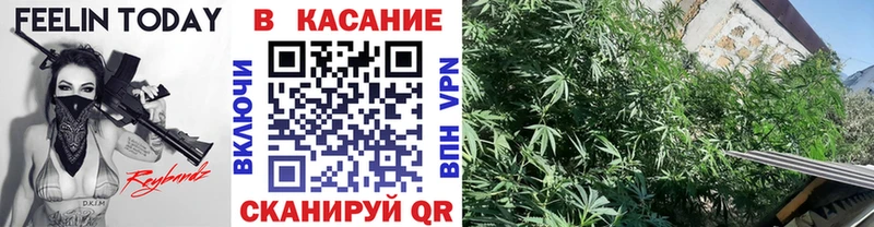  COCAIN Юхнов