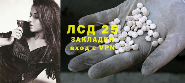 ПСИЛОЦИБИНОВЫЕ ГРИБЫ Вязьма