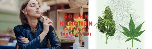 ПСИЛОЦИБИНОВЫЕ ГРИБЫ Вязьма