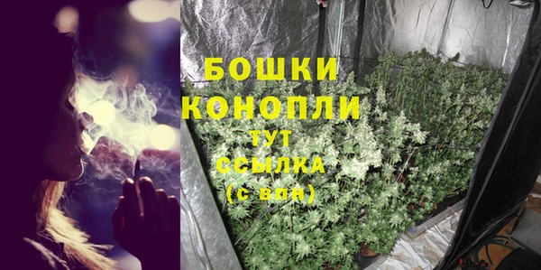 ПСИЛОЦИБИНОВЫЕ ГРИБЫ Вязьма