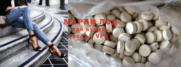 ПСИЛОЦИБИНОВЫЕ ГРИБЫ Вязьма