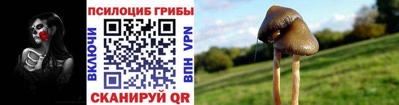 Псилоцибиновые грибы мухоморы Юхнов